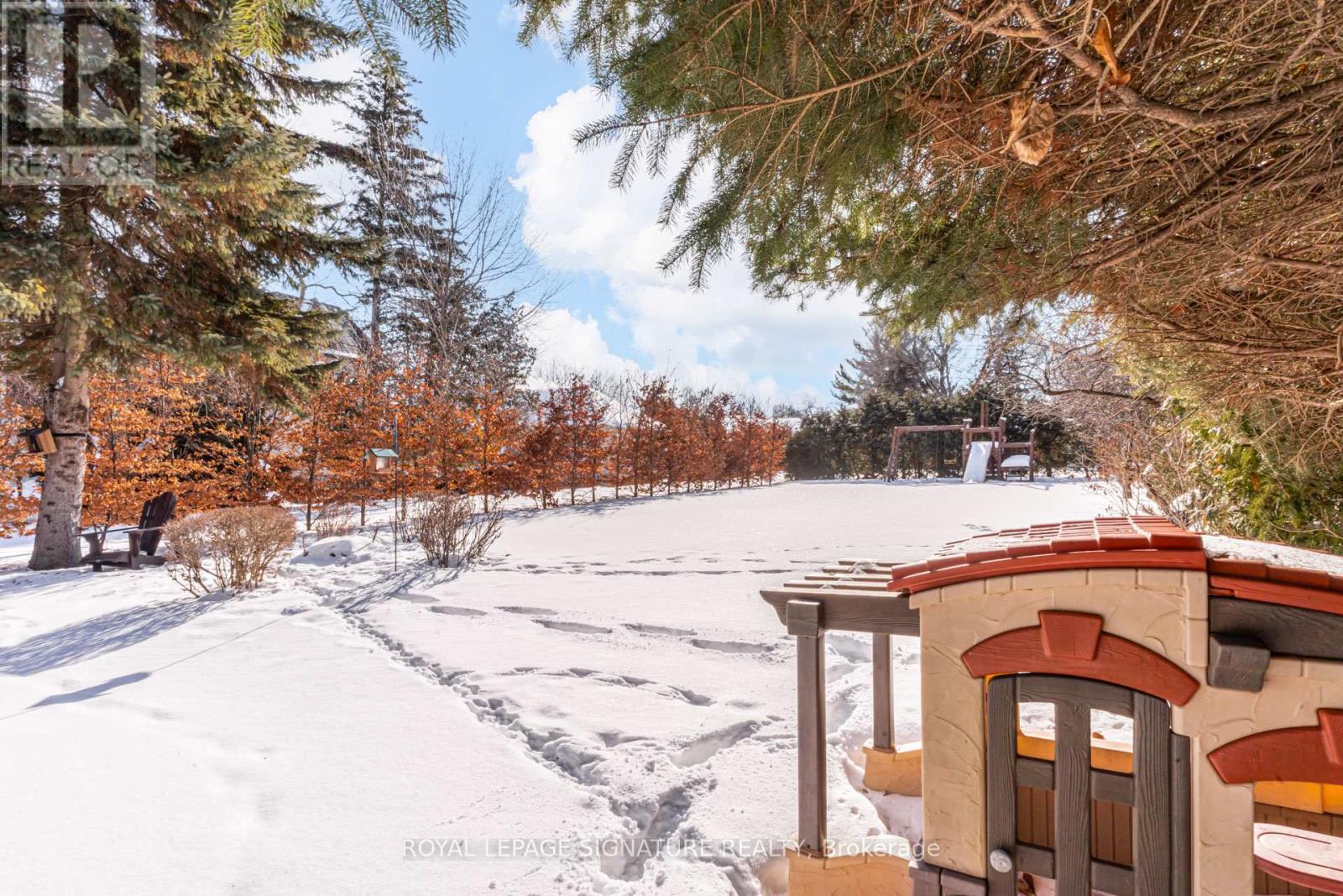 81 Garden Avenue, Richmond Hill, Ontario  L4C 6L6 - Photo 48 - N12810890