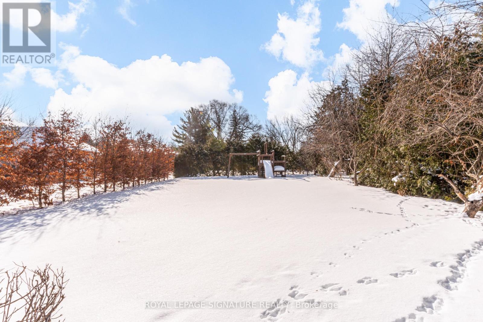 81 Garden Avenue, Richmond Hill, Ontario  L4C 6L6 - Photo 49 - N12810890