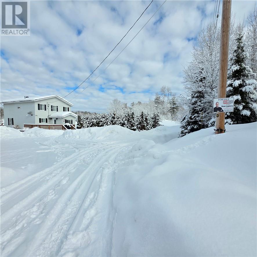 431 Elbow Lake Road, Sudbury, Ontario  P3E 4N1 - Photo 51 - 2126517