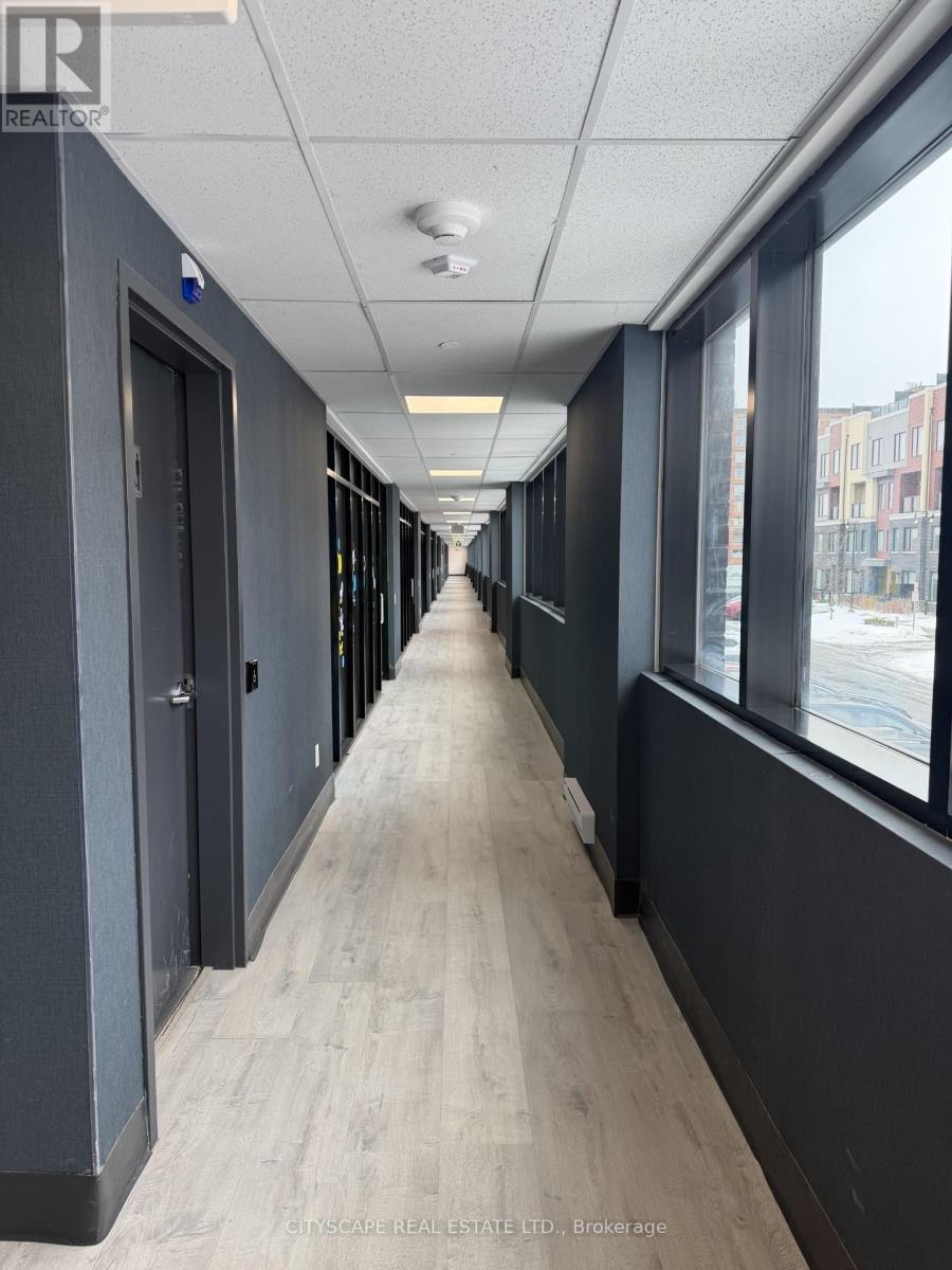 202 - 3401 Ridgeway Drive, Mississauga, Ontario  L5L 0B9 - Photo 2 - W12810864