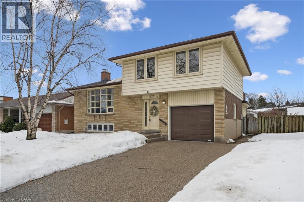 123 Lorraine Avenue, Kitchener, Ontario  N2B 2N1 - Photo 2 - 40800271