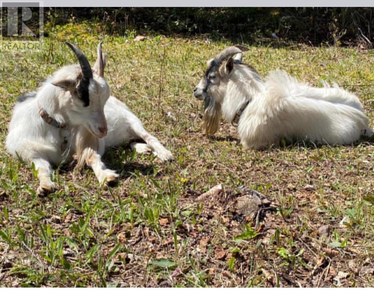 123 Main Street, Phillips Head, Newfoundland & Labrador  A0H 1E0 - Photo 28 - 1294731