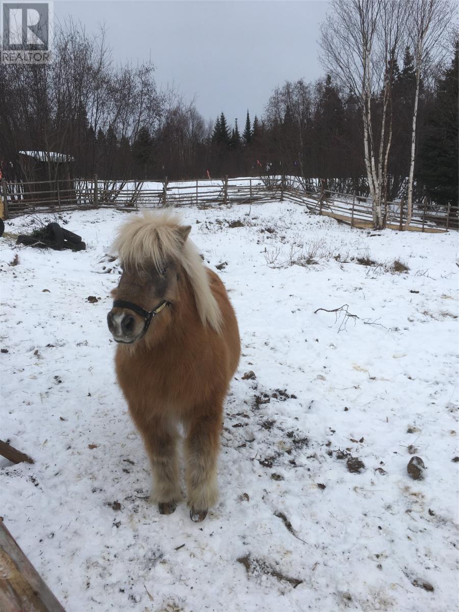 123 Main Street, Phillips Head, Newfoundland & Labrador  A0H 1E0 - Photo 26 - 1294731
