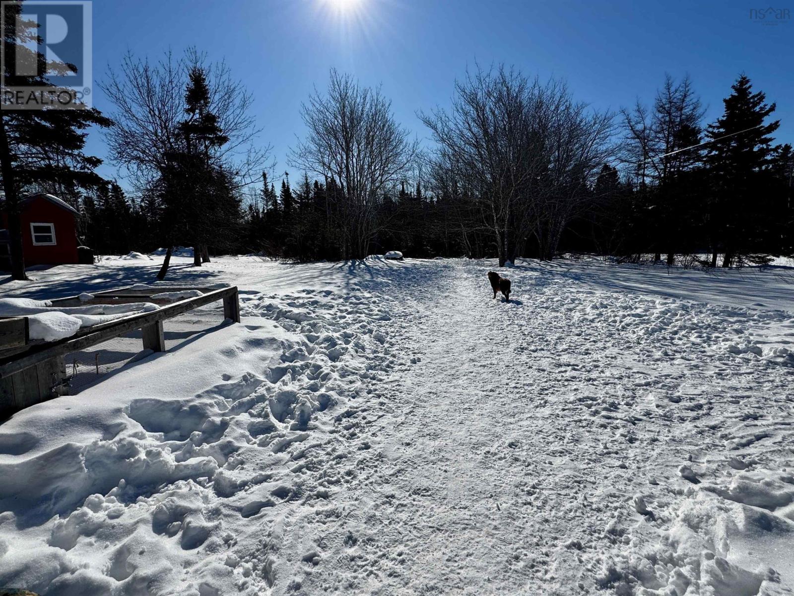 85 Highway 320, Grande Anse, Nova Scotia  B0E 1V0 - Photo 22 - 202603214