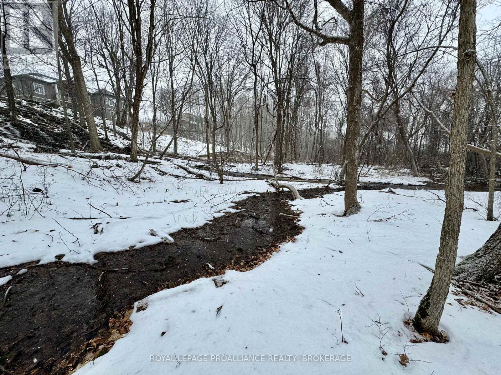 53 Linea Drive, Frontenac, Ontario K0H 0A9 - Photo 13 - X12811218