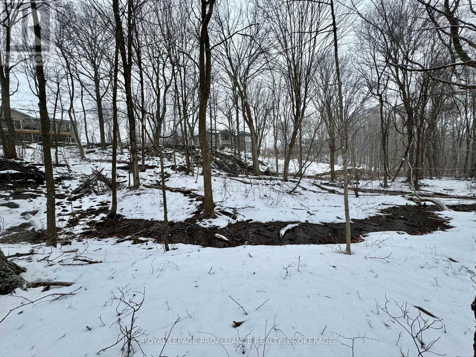 53 Linea Drive, Frontenac, Ontario K0H 0A9 - Photo 14 - X12811218