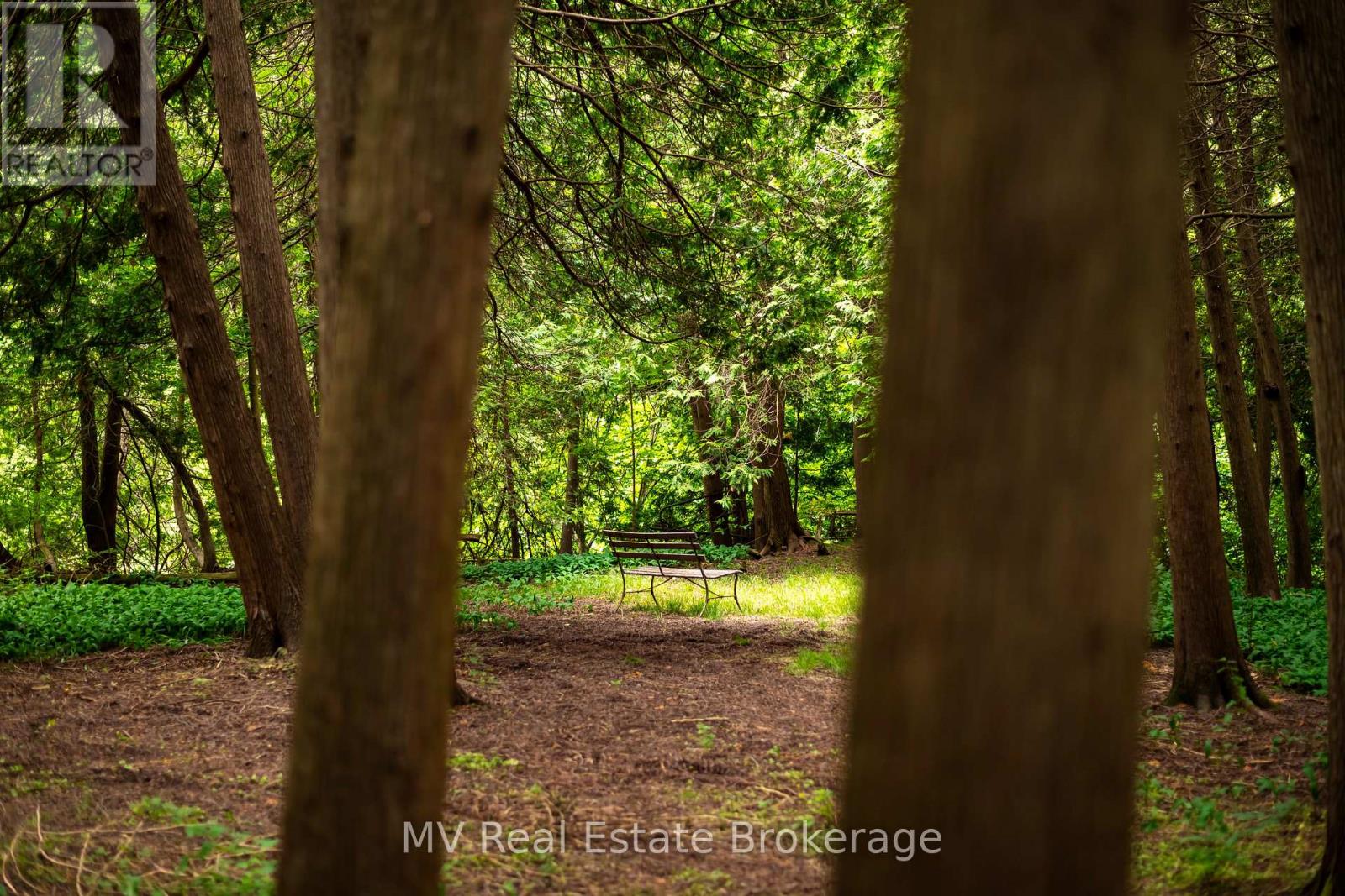 322 North Street, Centre Wellington, Ontario  N0B 1S0 - Photo 40 - X12456762