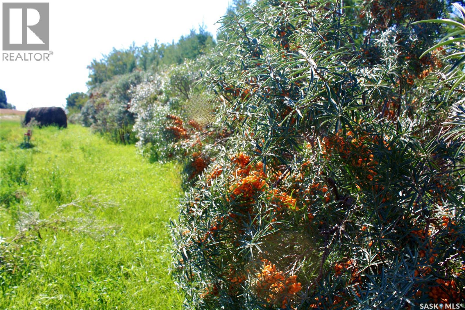 Warkentin Acreage, Blucher Rm No. 343, Saskatchewan  S0K 0Y0 - Photo 39 - SK028989