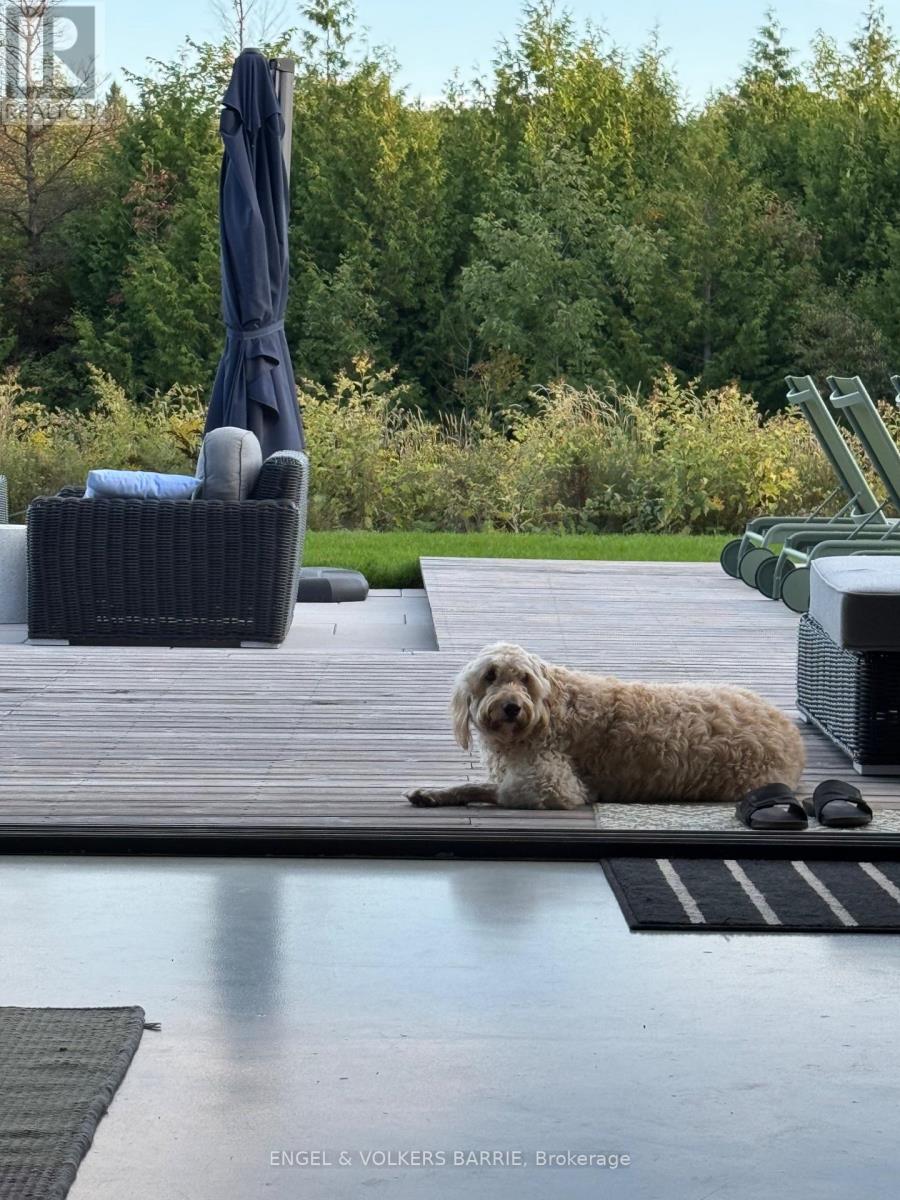 129 Maple Lane, Blue Mountains, Ontario  N0H 2E0 - Photo 13 - X12811212