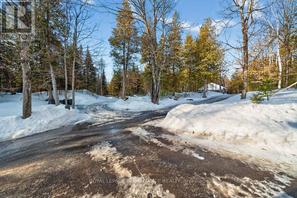 5317 Ardoch Road, Frontenac, Ontario  K0H 1C0 - Photo 10 - X12811448