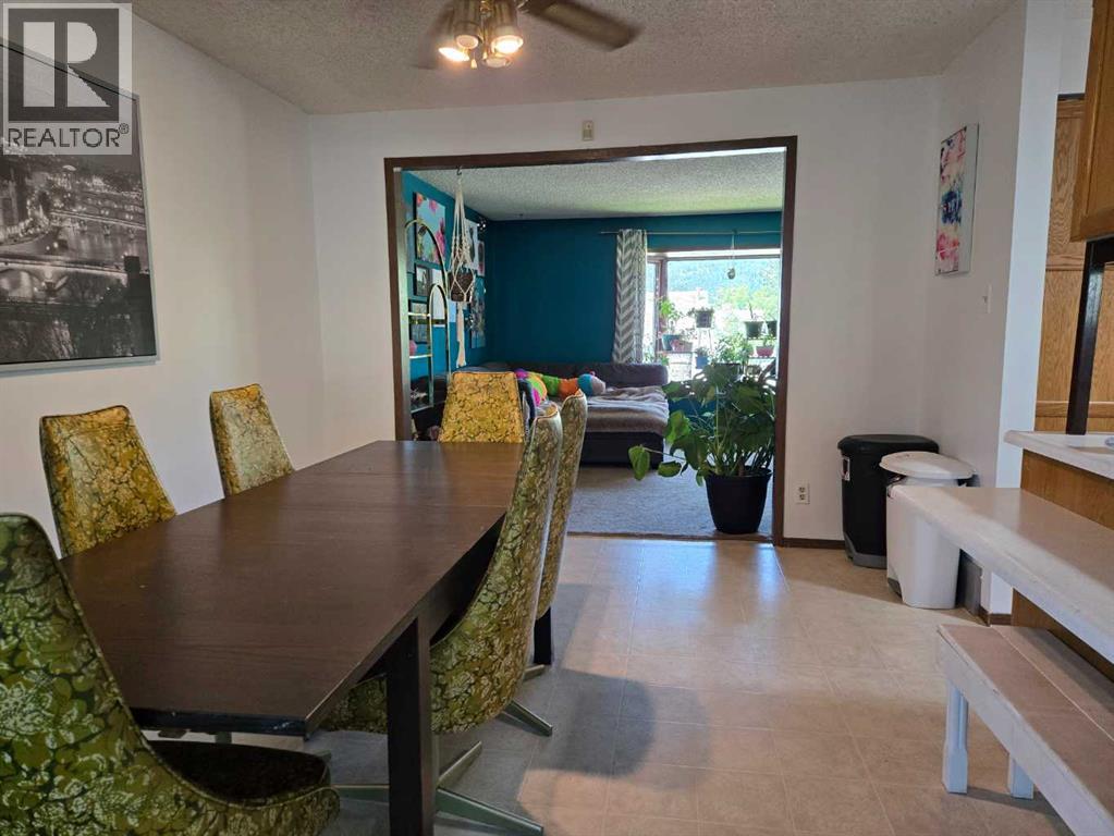 3002 225 Street, Bellevue, Alberta  T0K 0C0 - Photo 7 - A2264792