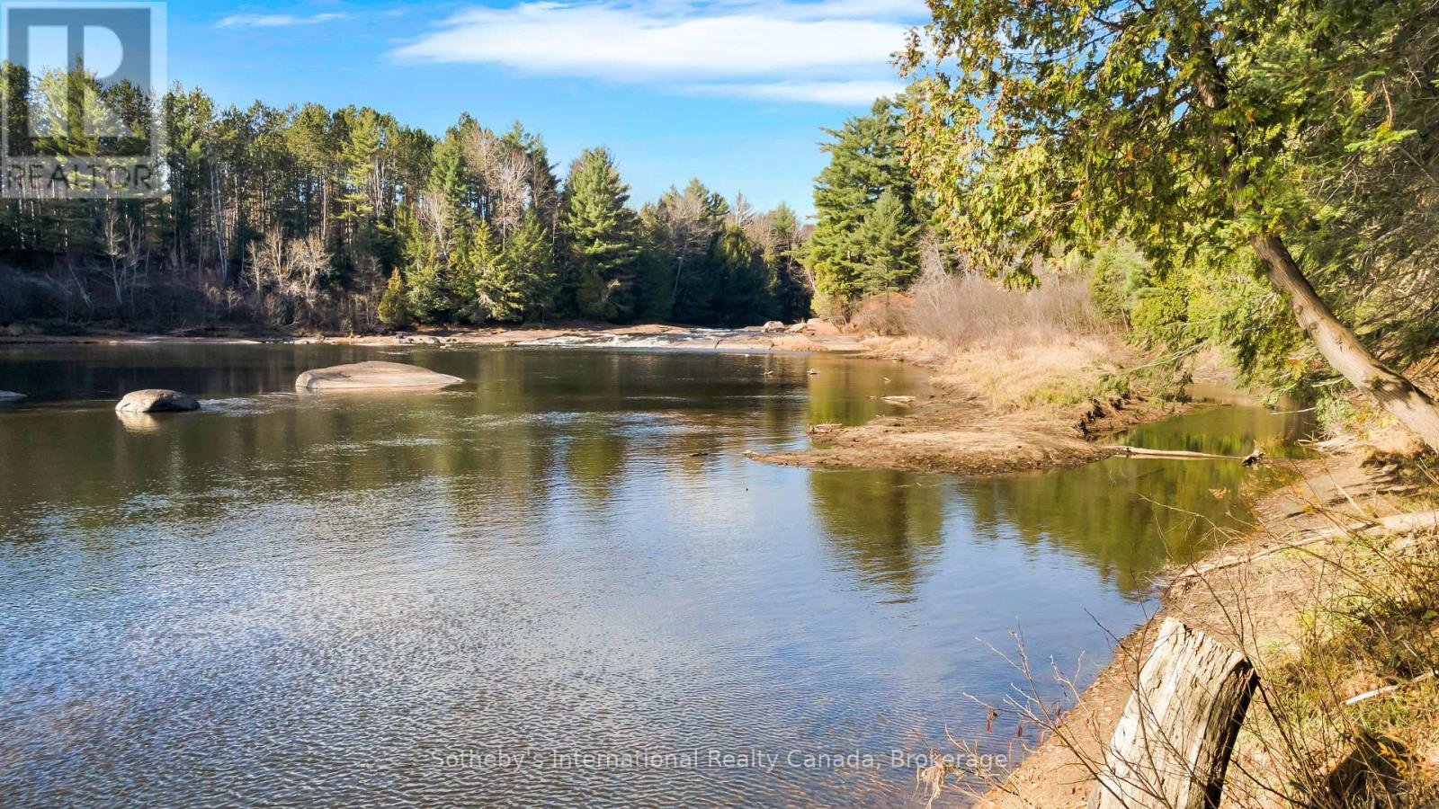 21 Sparrow Road, Kawartha Lakes, Ontario  K0M 1C0 - Photo 43 - X12811490