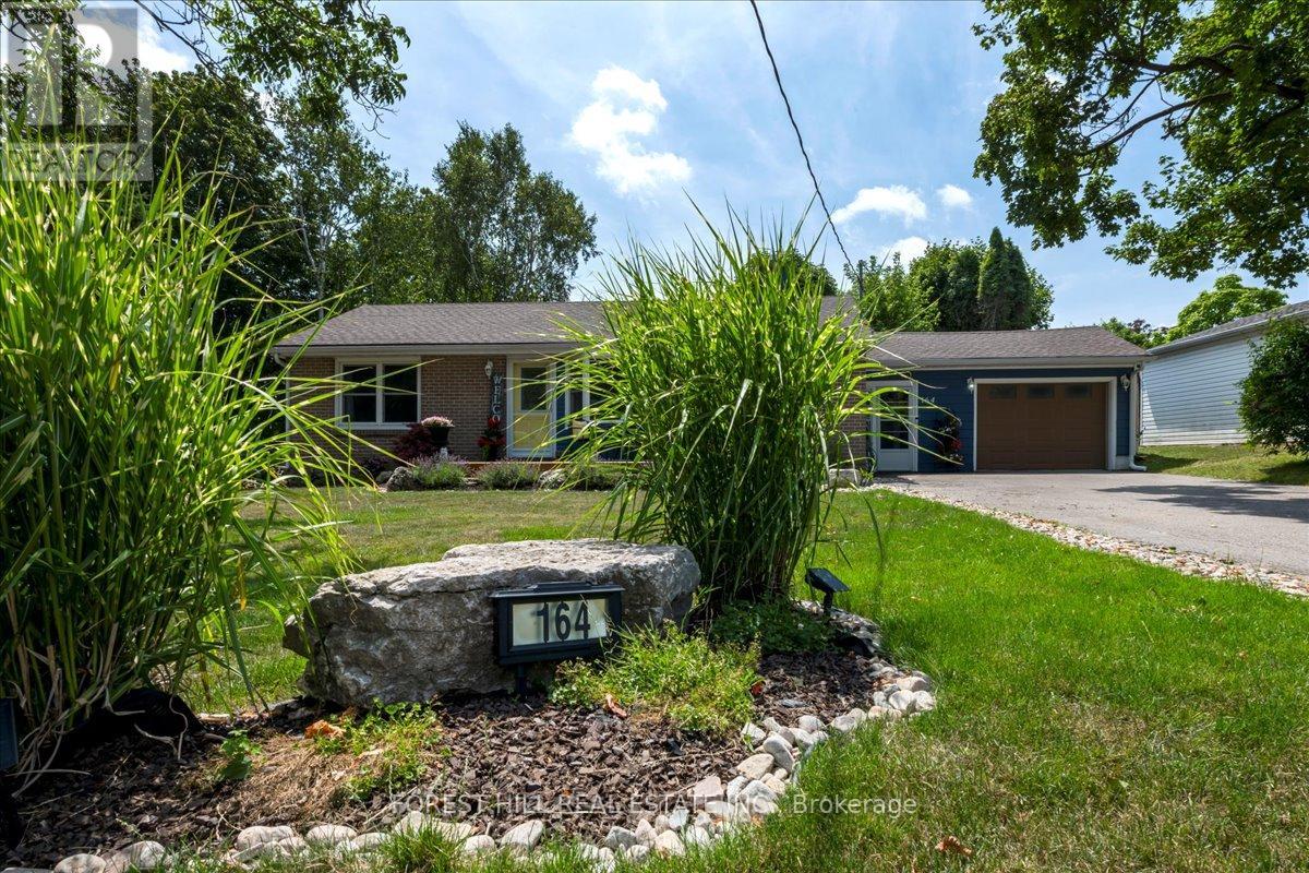 164 Avenue Road, Newmarket, Ontario  L3Y 1N4 - Photo 1 - N12811438