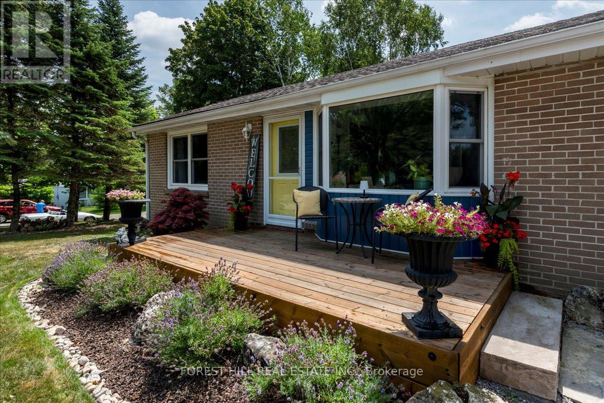 164 Avenue Road, Newmarket, Ontario  L3Y 1N4 - Photo 27 - N12811438