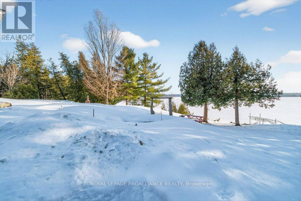 5317 Ardoch Road, Frontenac, Ontario  K0H 1C0 - Photo 44 - X12811448