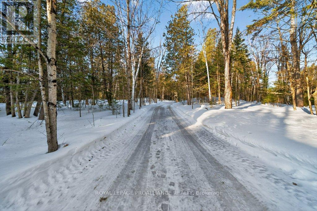 5317 Ardoch Road, Frontenac, Ontario  K0H 1C0 - Photo 47 - X12811448