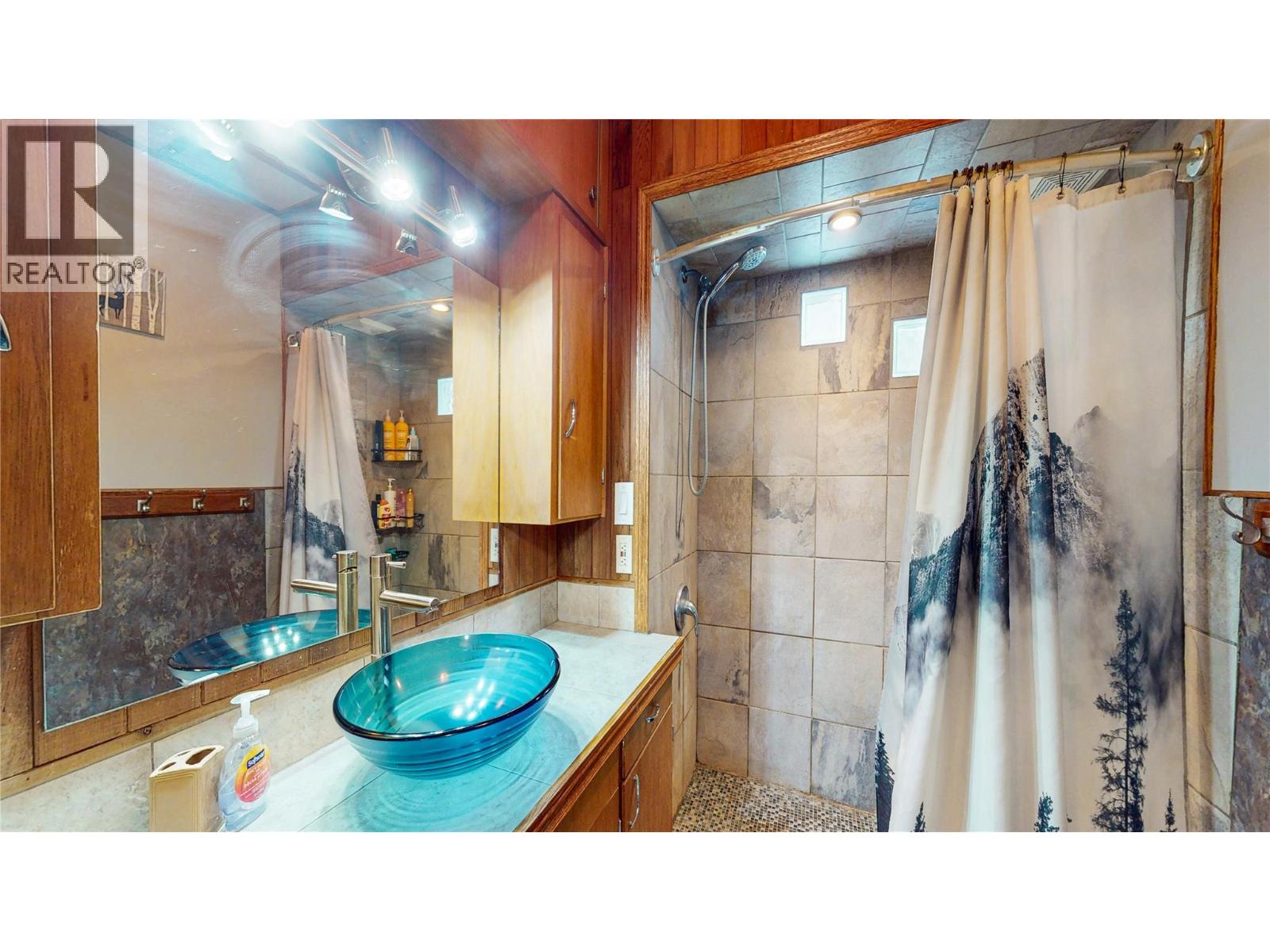 320 2nd Avenue S, Cranbrook, British Columbia  V1C 2B1 - Photo 7 - 10375156