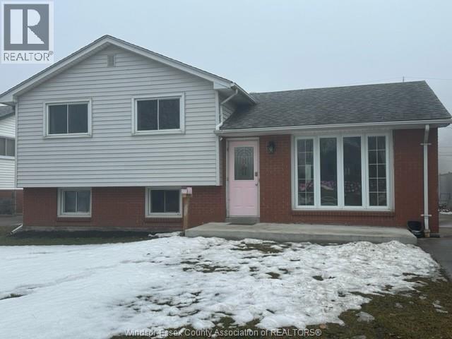 MLS# 26003406: 368 CARLING, Windsor, Canada