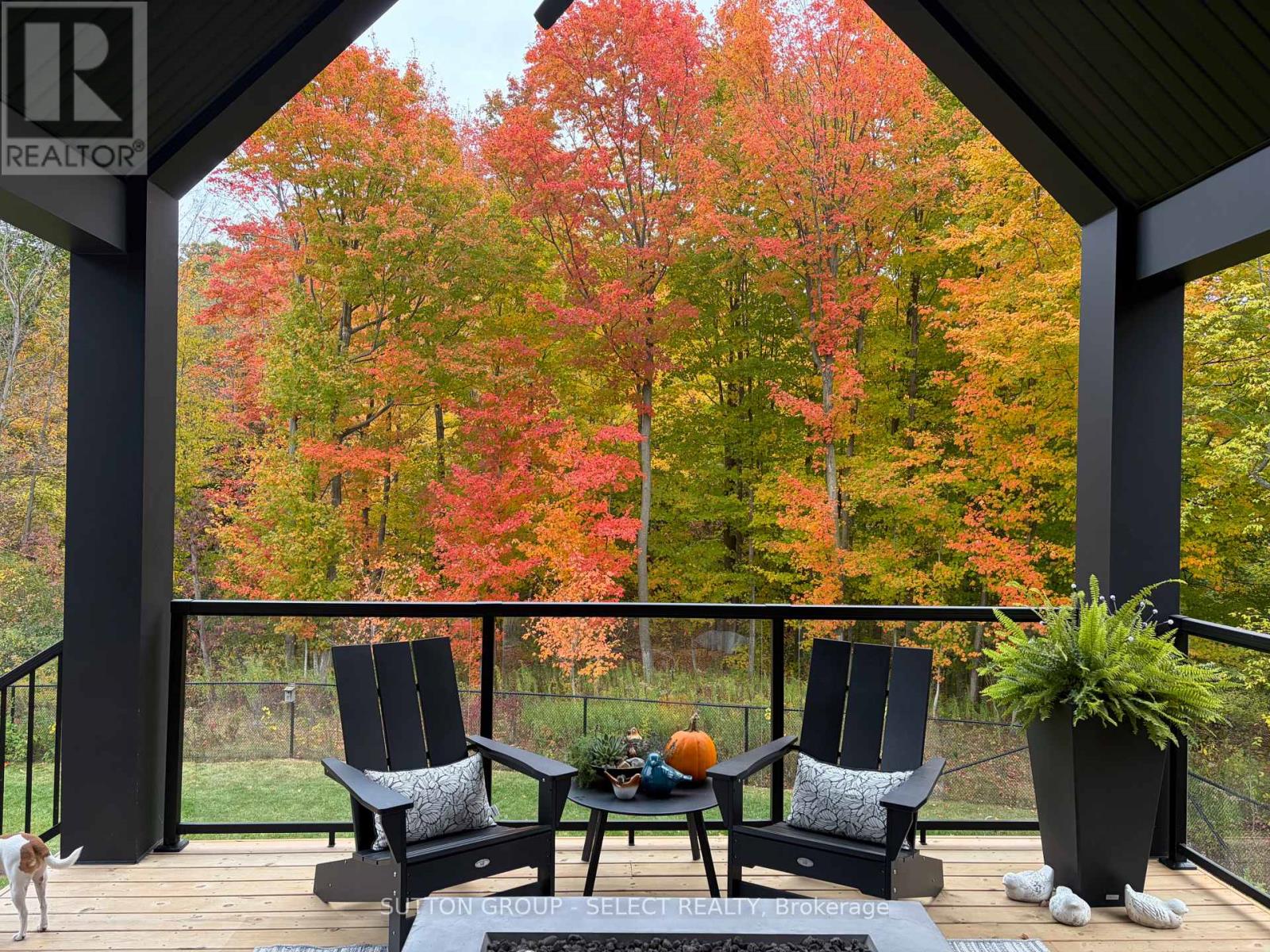 34 Princeton Terrace, London South, Ontario  N6K 0L5 - Photo 5 - X12811668