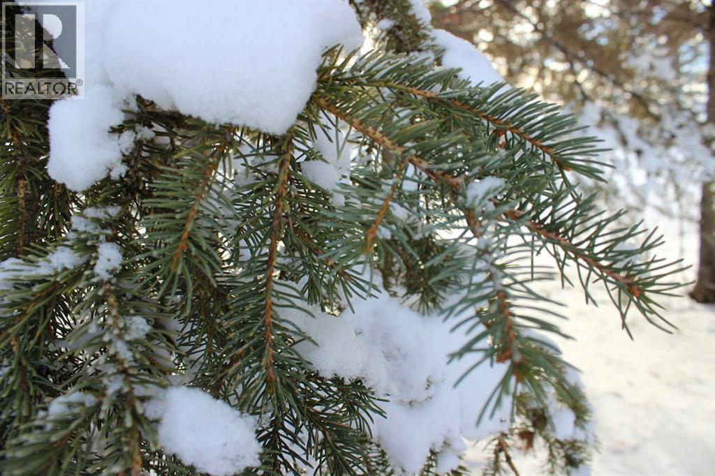 Blue Sign 114 145006 Cassils Rd Subdivision, Rural Newell, Alberta  T1R 1A0 - Photo 13 - A2272962