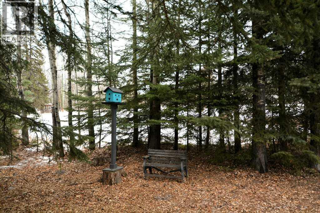 6218 12 Avenue S, Edson, Alberta  T7E 1Y5 - Photo 39 - A2284452