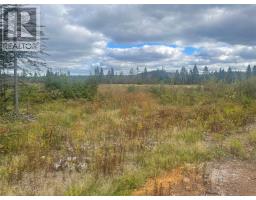 136333 Peter's Pond, Botwood, Newfoundland & Labrador