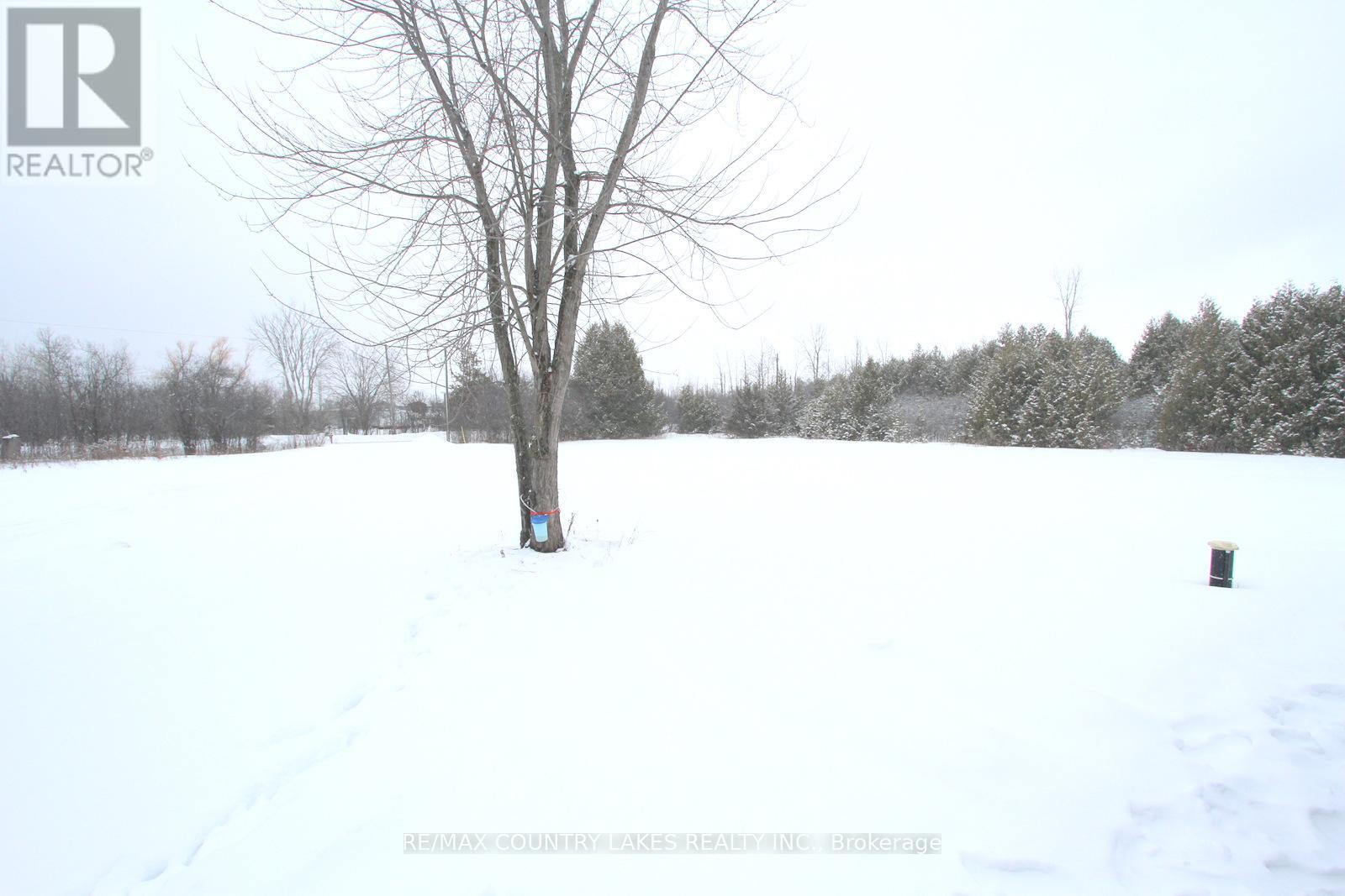C21973 Brock Road, Brock, Ontario  L0E 1E0 - Photo 33 - N12811628