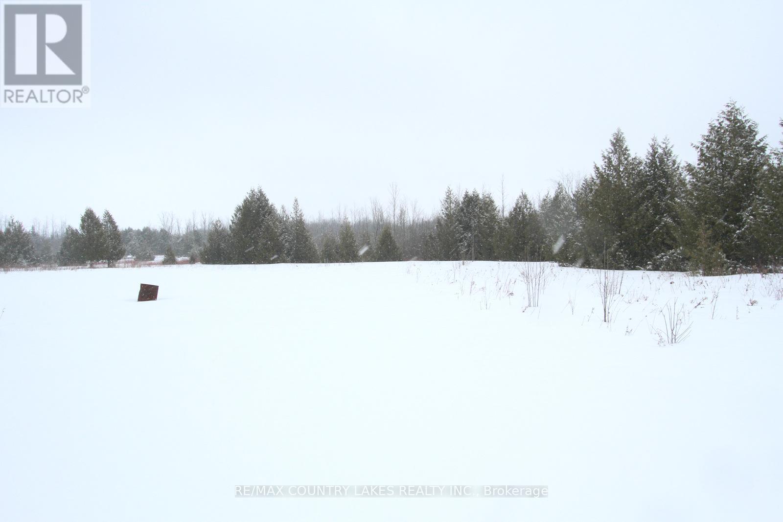 C21973 Brock Road, Brock, Ontario  L0E 1E0 - Photo 35 - N12811628