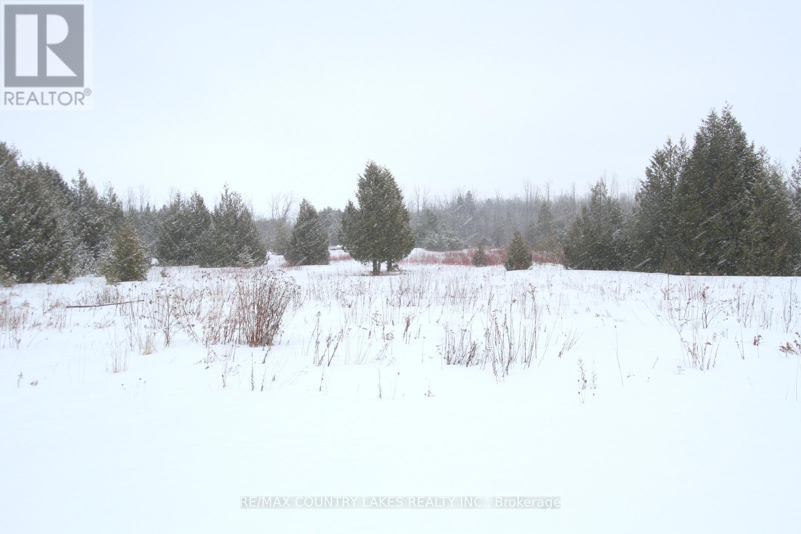 C21973 Brock Road, Brock, Ontario  L0E 1E0 - Photo 36 - N12811628