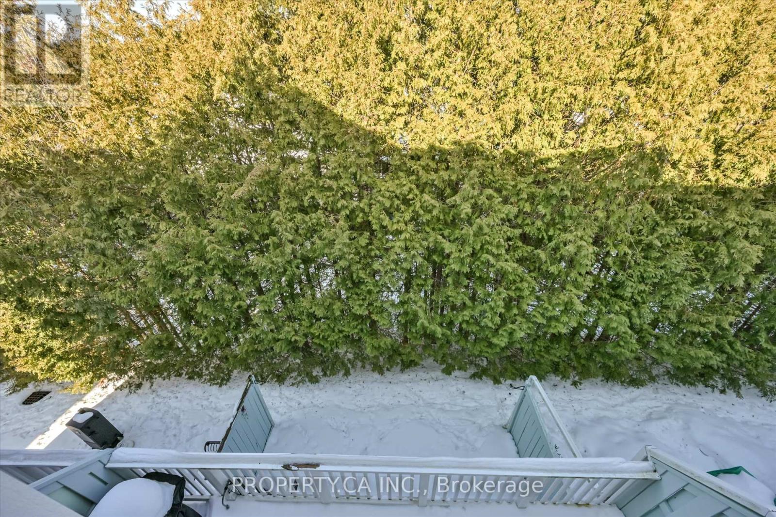 46 - 1051 On Bogart Circle, Newmarket, Ontario  L3Y 8T4 - Photo 35 - N12811696