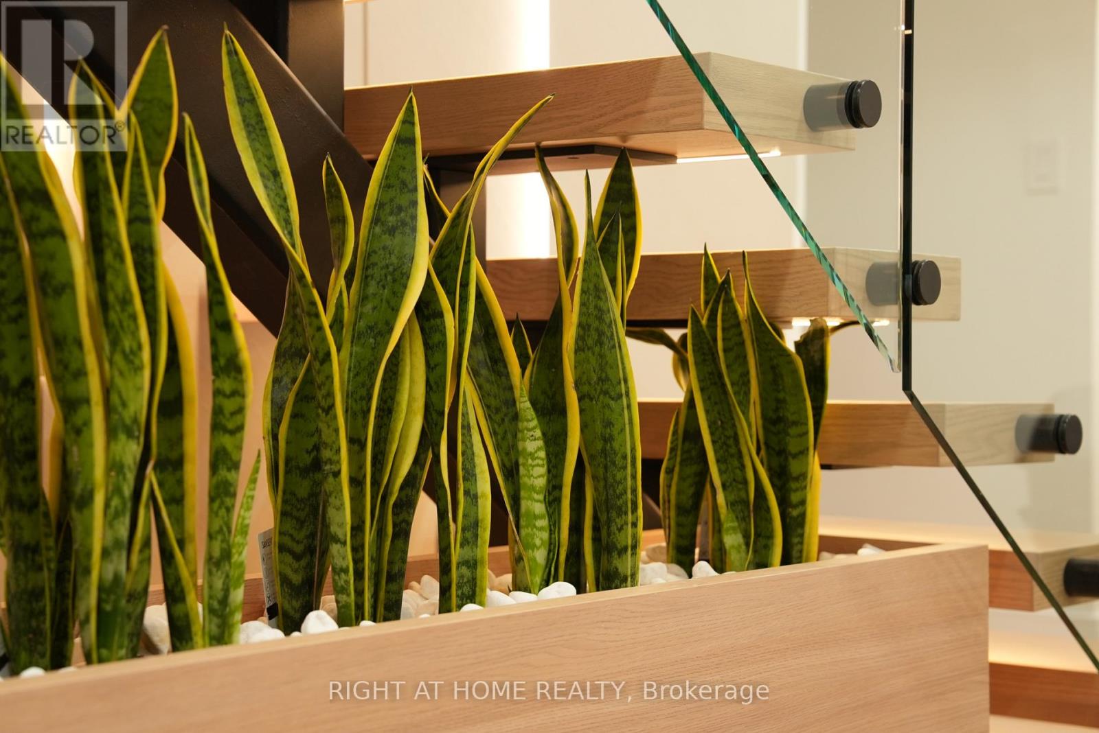 33 Thorndale Avenue, Toronto, Ontario  M8X 1W8 - Photo 35 - W12811690