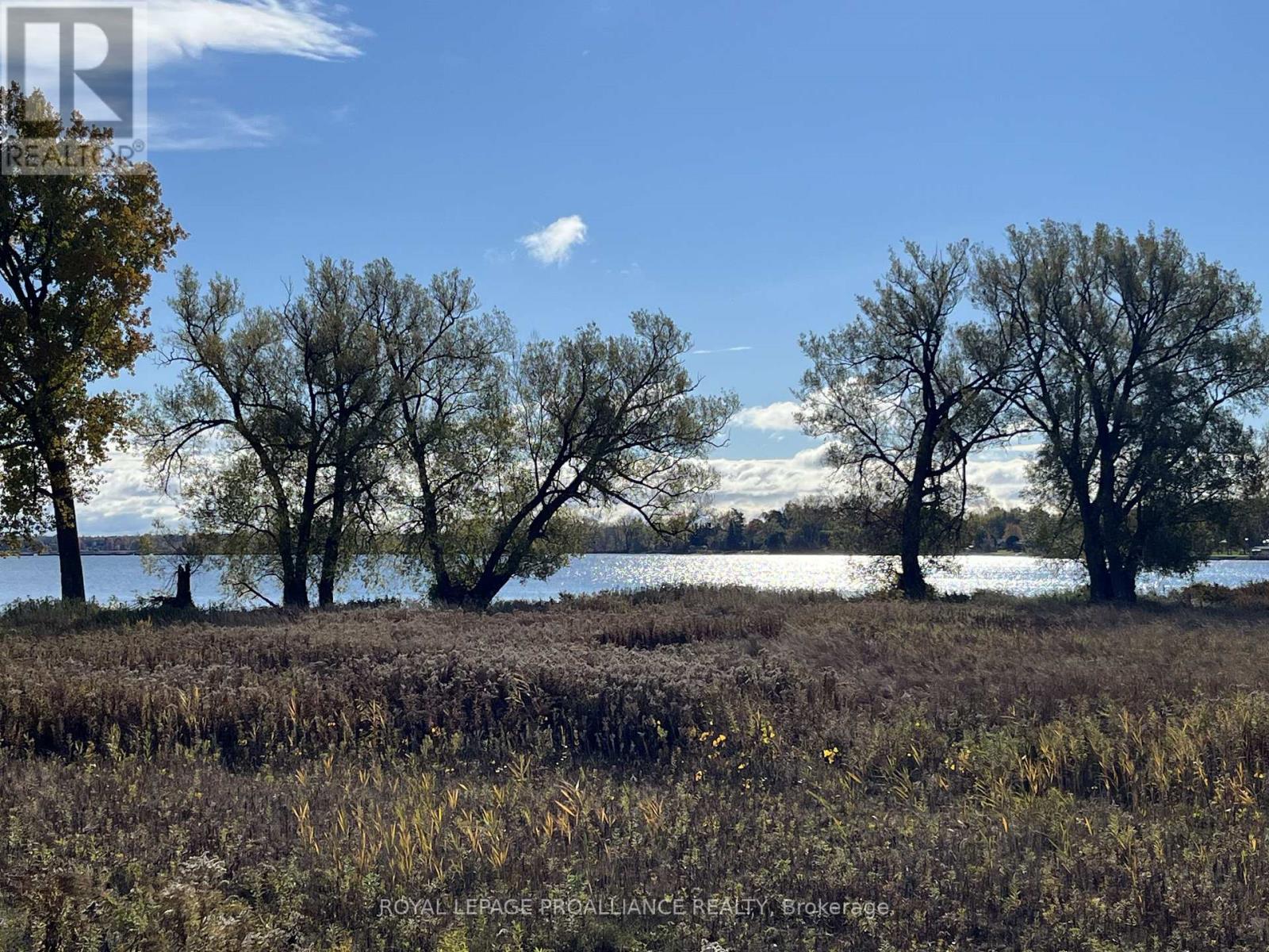 20 Pulla Street, Quinte West, Ontario  K8V 5P7 - Photo 48 - X12806258