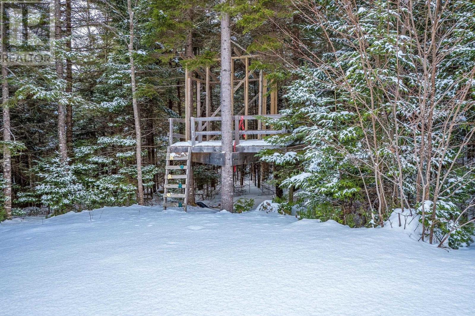 47 Wolf Drive, Hubbards, Nova Scotia  B0J 1T0 - Photo 7 - 202603234