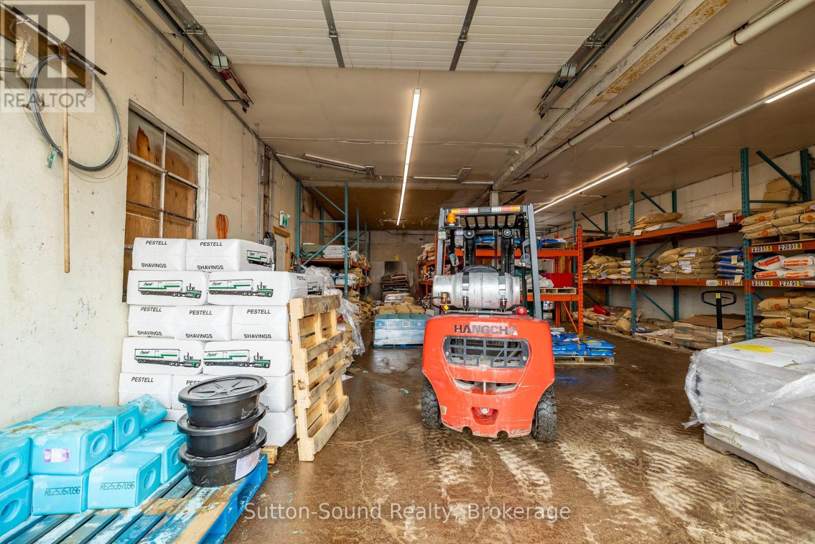 109 1st Avenue N, Arran-Elderslie, Ontario  N0H 1L0 - Photo 15 - X12811746