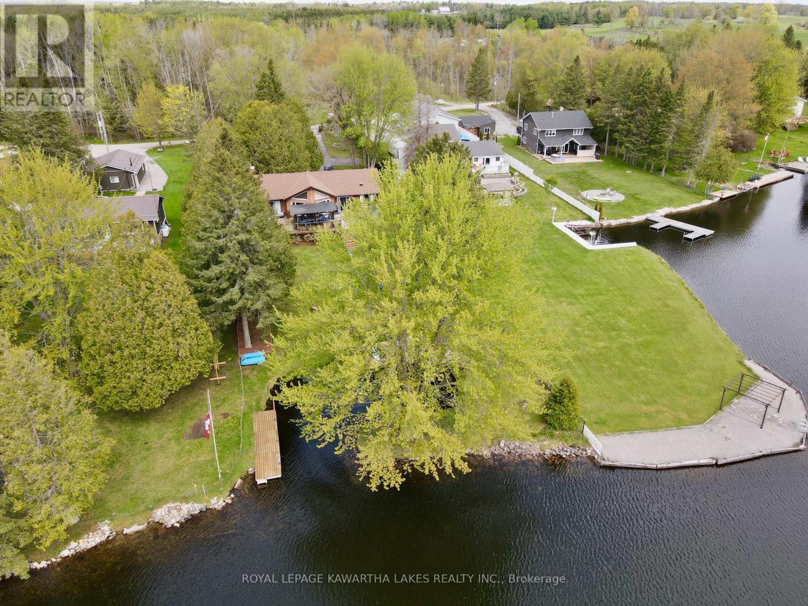 21 Trent View Road, Kawartha Lakes, Ontario  K0M 2B0 - Photo 4 - X12811728