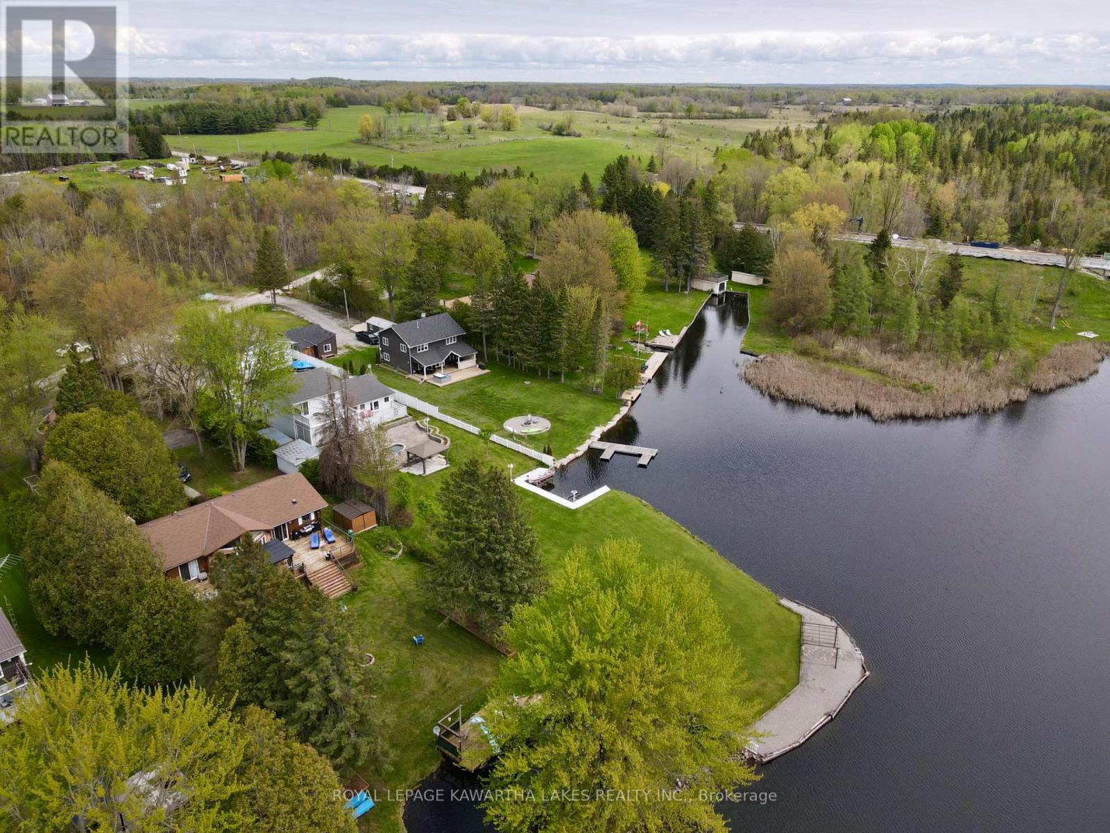 21 Trent View Road, Kawartha Lakes, Ontario  K0M 2B0 - Photo 5 - X12811728