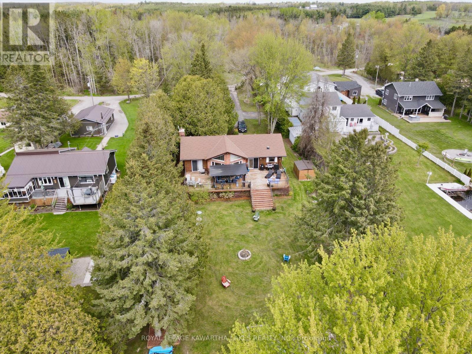21 Trent View Road, Kawartha Lakes, Ontario  K0M 2B0 - Photo 7 - X12811728
