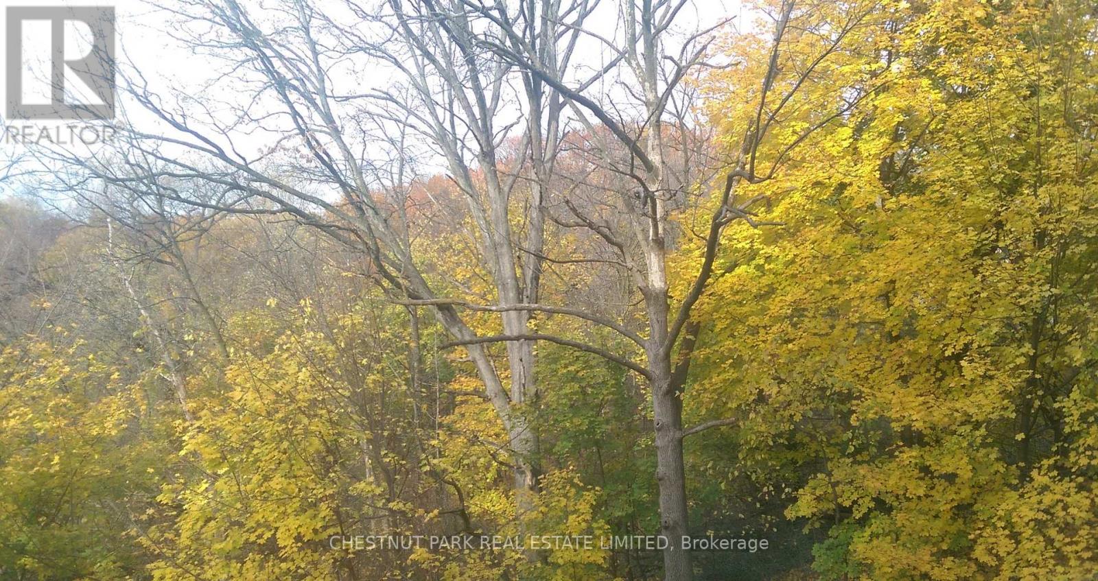 507 - 120 Rosedale Valley Road, Toronto, Ontario  M4W 1P8 - Photo 15 - C12811950