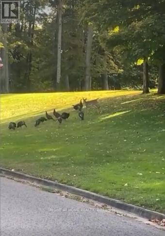 2 Oakview Place, Uxbridge, Ontario  L9P 0L1 - Photo 37 - N12811732