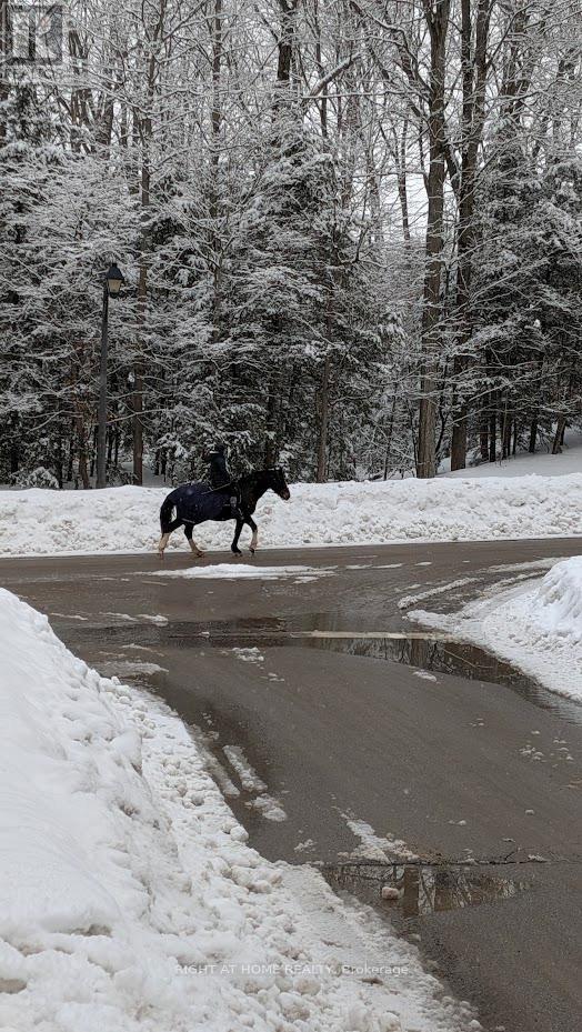 2 Oakview Place, Uxbridge, Ontario  L9P 0L1 - Photo 38 - N12811732