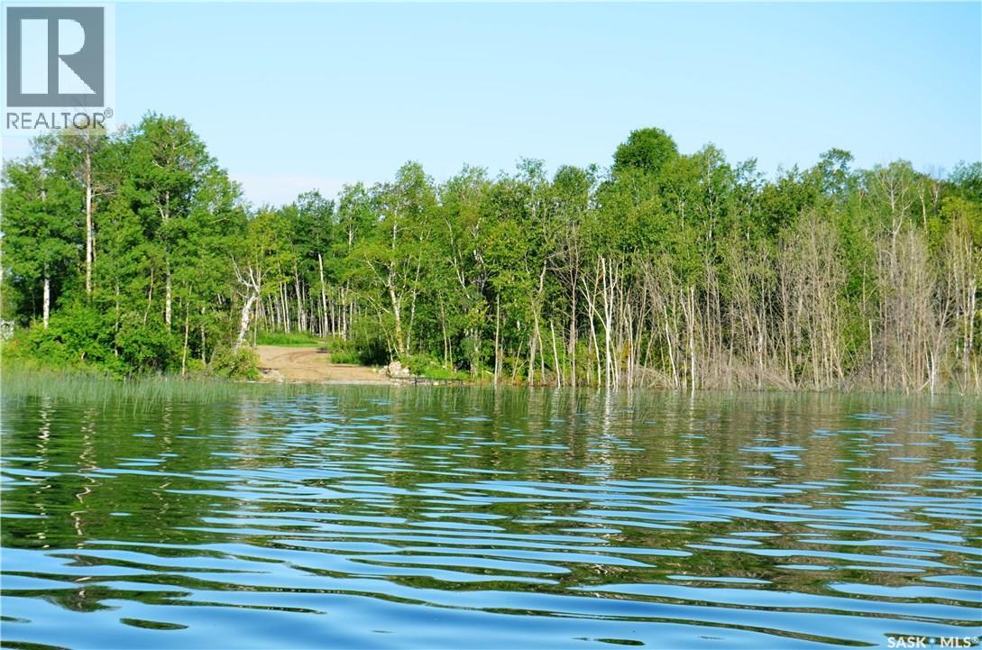 25 Wilson Crescent, Big River Rm No. 555, Saskatchewan  S0J 0E0 - Photo 10 - SK028985