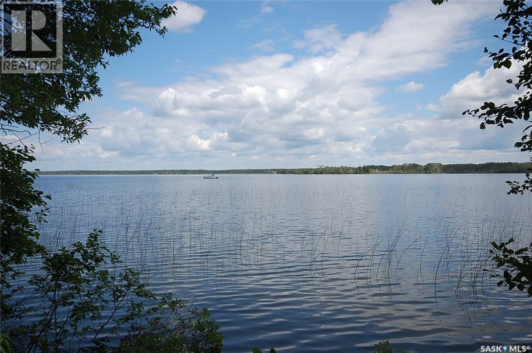 25 Wilson Crescent, Big River Rm No. 555, Saskatchewan  S0J 0E0 - Photo 17 - SK028985