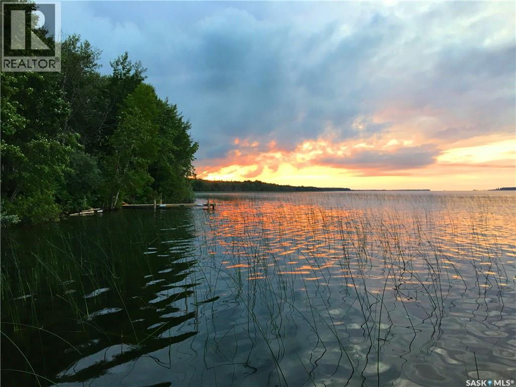 25 Wilson Crescent, Big River Rm No. 555, Saskatchewan  S0J 0E0 - Photo 21 - SK028985