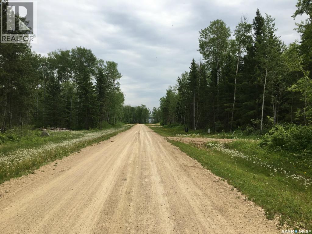 25 Wilson Crescent, Big River Rm No. 555, Saskatchewan  S0J 0E0 - Photo 5 - SK028985