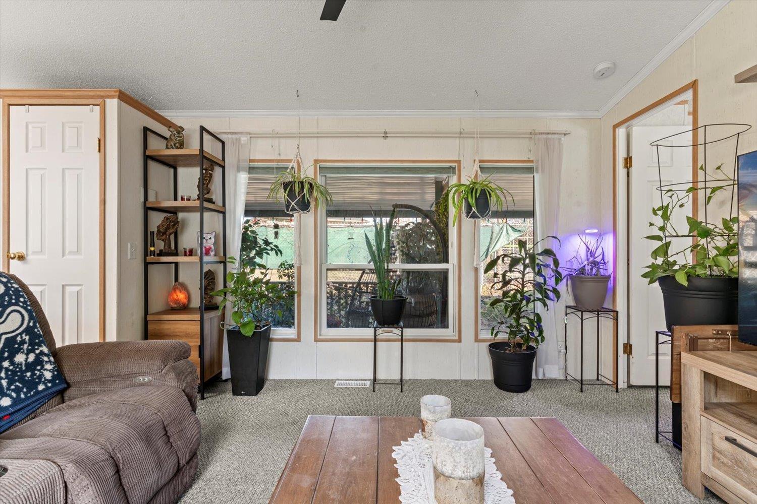 33 45715 Alma Avenue, Vedder Crossing, Chilliwack, British Columbia  V2R 3M5 - Photo 6 - R3091249