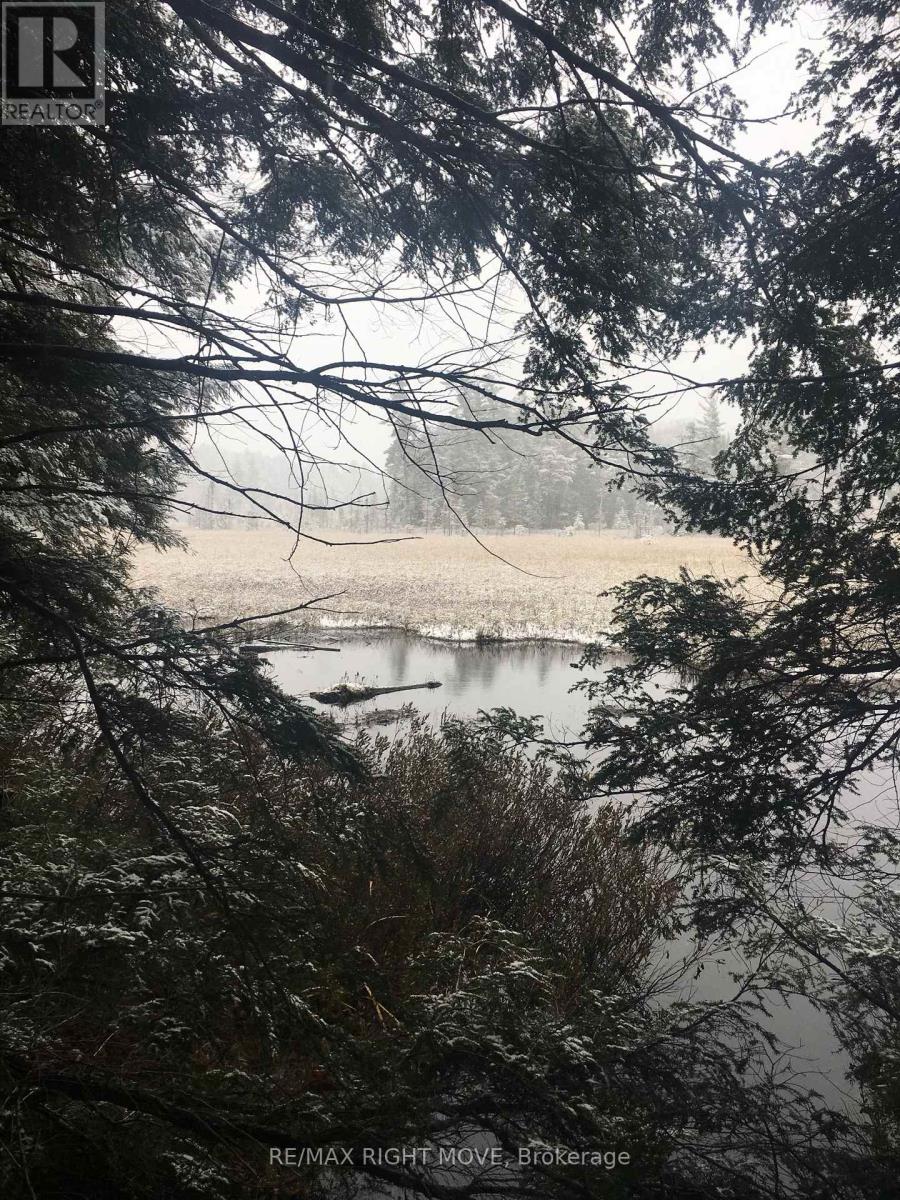 0 N/a Drive, Seguin, Ontario  P2A 0B2 - Photo 2 - X12811900