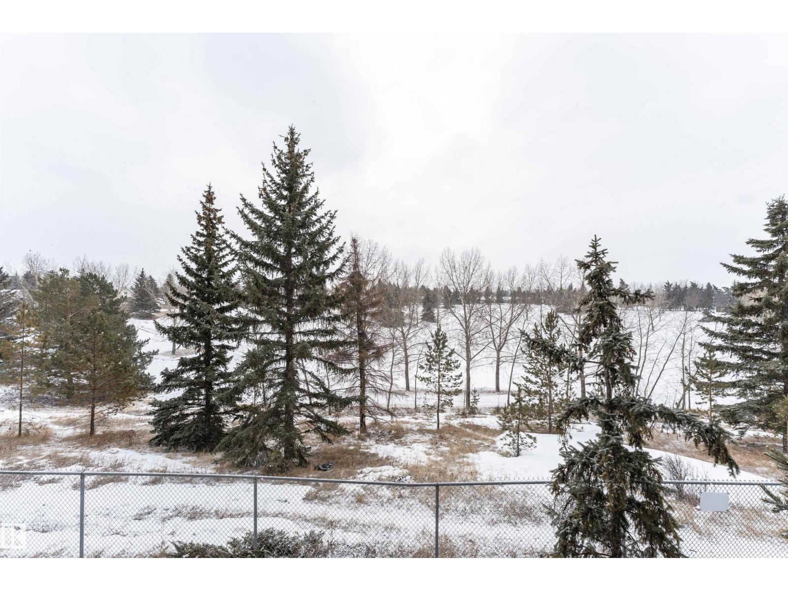 #227 16807 100 Av Nw, Edmonton, Alberta  T5P 4A6 - Photo 44 - E4474542