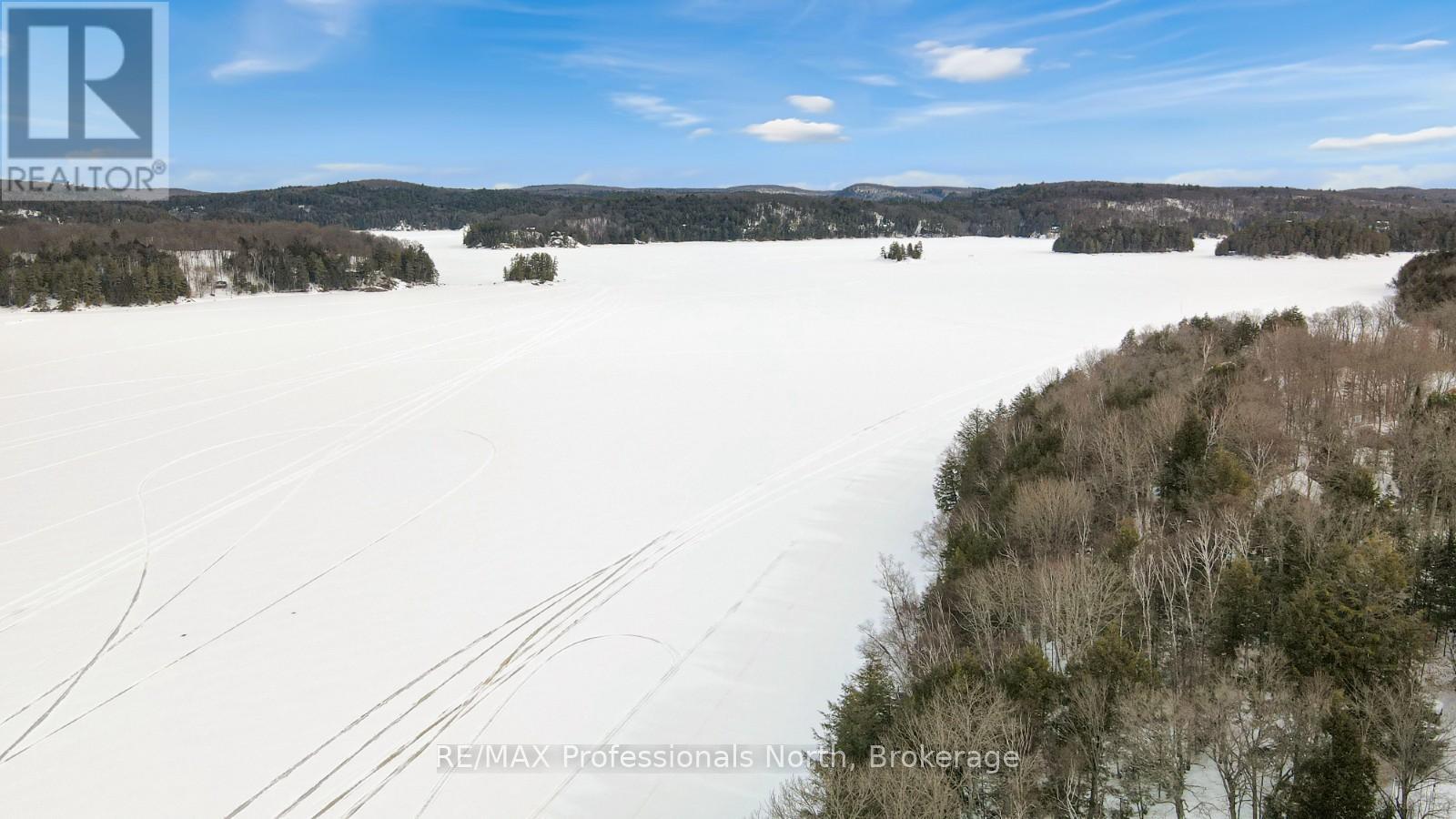 1016 Linsmore Lane, Dysart Et Al (Guilford), Ontario  K0M 1S0 - Photo 28 - X12812016