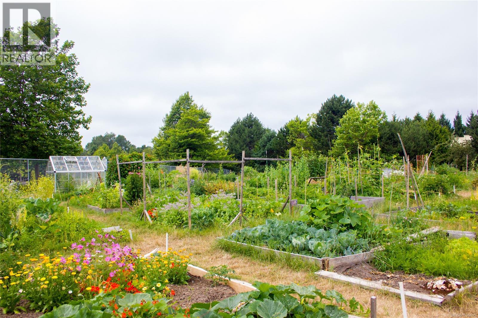 2320 Hazelton Pl, Saanich, British Columbia  V8N 5C3 - Photo 56 - 1026695