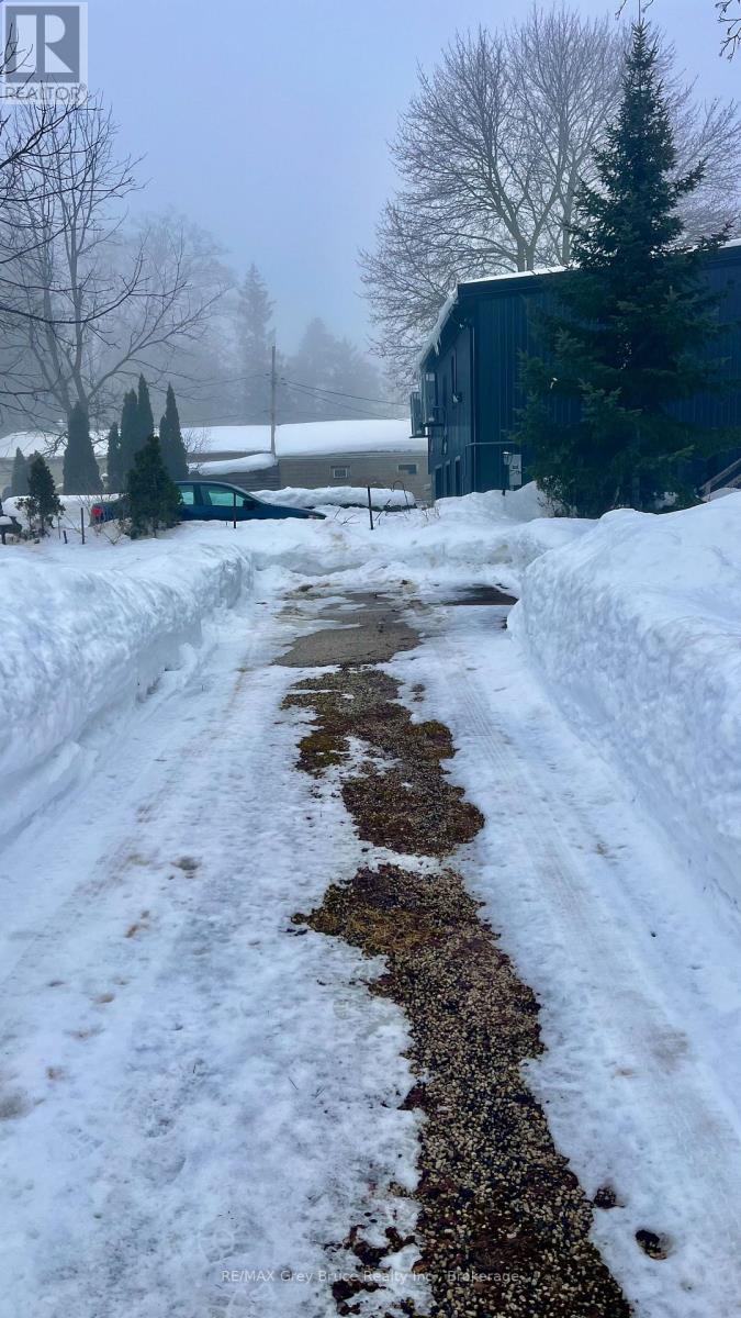 50 1st Avenue S, Arran-Elderslie, Ontario N0G 1L0 - Photo 5 - X12812120